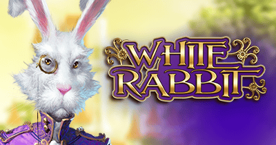 White Rabbit at Fortuna